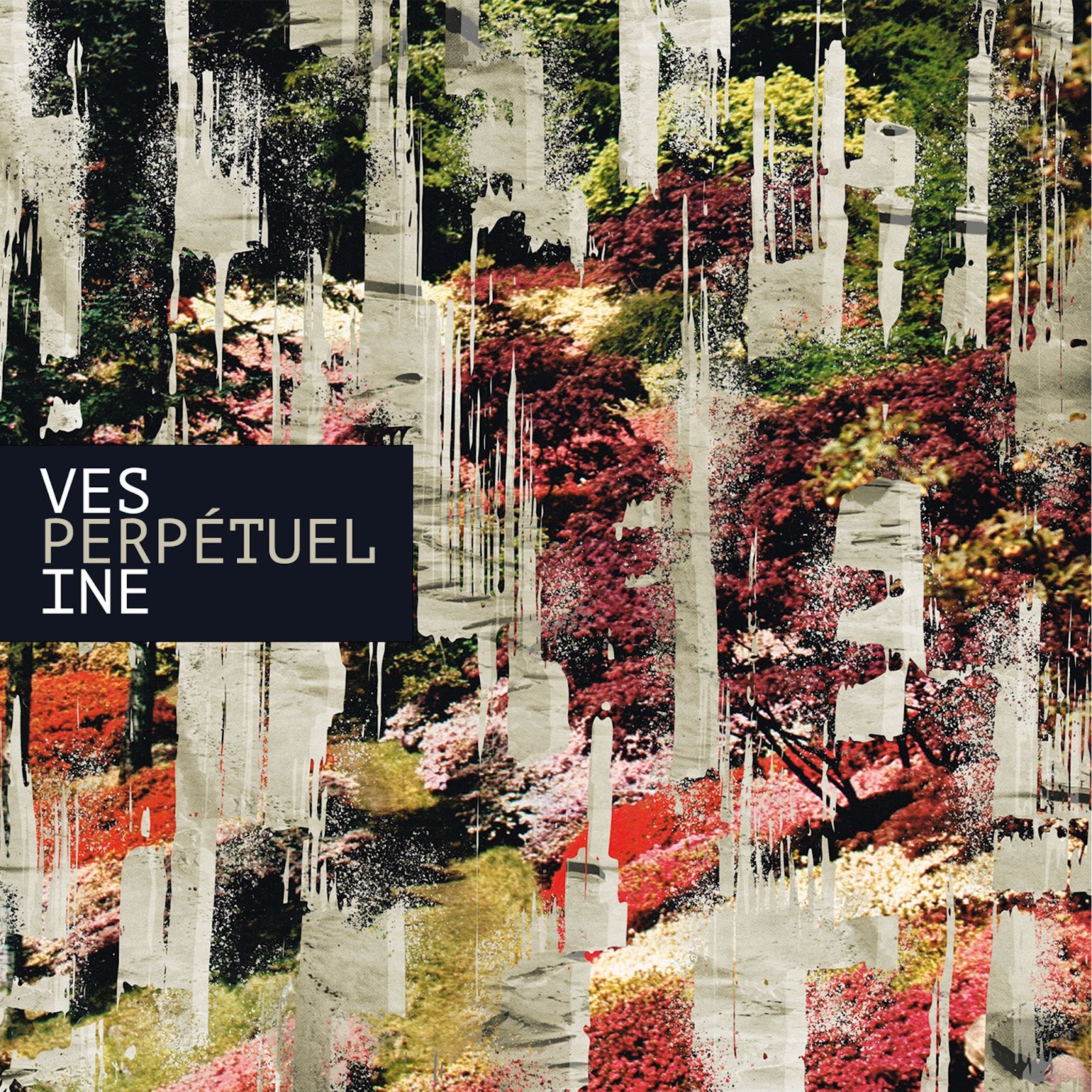 Vesperine / Perpétuel (2024)