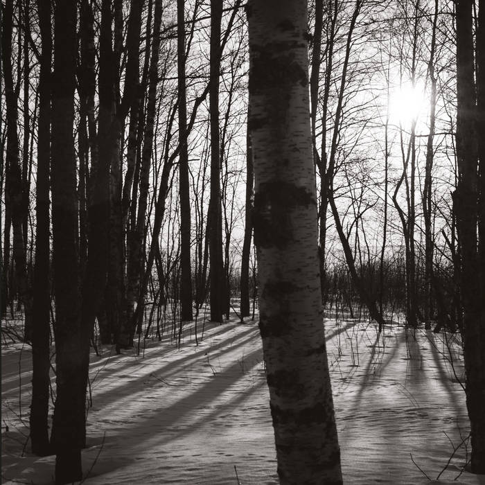 Aran / Maahan Laskettu (2024)